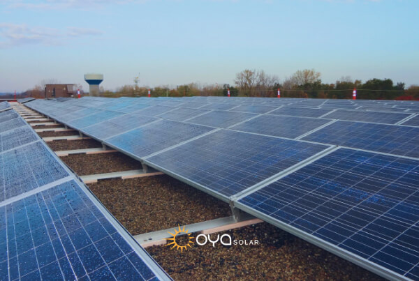 Sun Parlour Cooperative